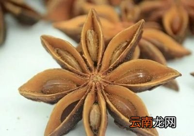 ●先将香料按作用分类