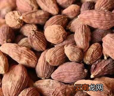 香辛料如何搭配能让食材回味留香