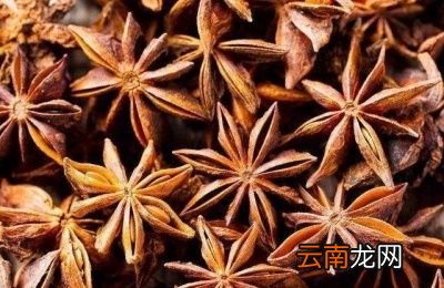 香辛料如何搭配能让食材回味留香