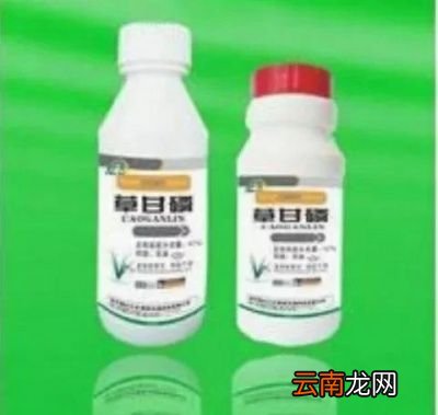 打除草剂是有露水打好还是等待露水干了再打好