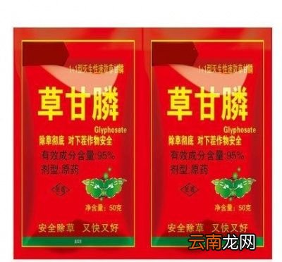 除草剂是露水时打还是露水干时打