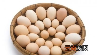 土鸡蛋和洋鸡蛋的蛋白比例不同