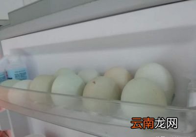 土鸡蛋和洋鸡蛋的蛋白比例不同