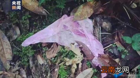 哀牢山遇难人员或不知定位仪能求救 重装突击队解密哀牢山搜救