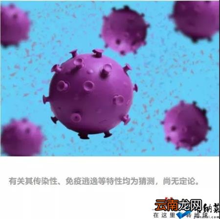 新毒株Omicron或致康复者再感染 27国紧急停飞这些航班