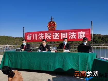 夫妻猎杀8头野猪被判刑 淅川县人民法院：违法