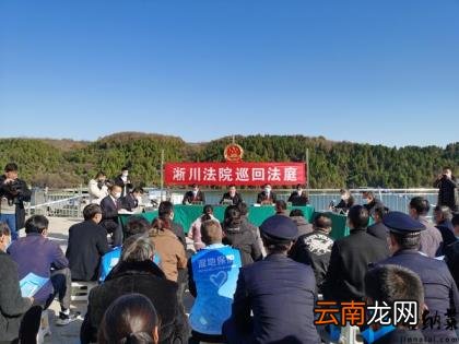 夫妻猎杀8头野猪被判刑 淅川县人民法院：违法