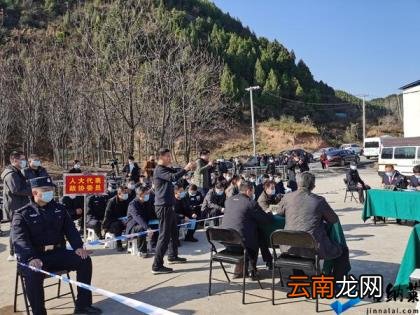 夫妻猎杀8头野猪被判刑 淅川县人民法院：违法