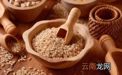 饿肚子多久消耗脂肪