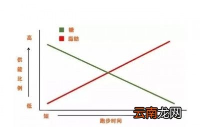 饿肚子是在消耗脂肪吗对不起可能你白饿了