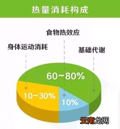 饿肚子是在消耗脂肪吗对不起可能你白饿了