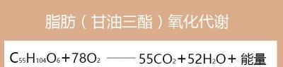 饿肚子是在消耗脂肪吗对不起可能你白饿了