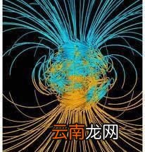 小燕子为什么总爱飞回旧巢