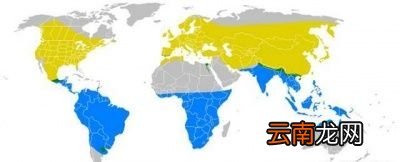 燕子为什么要在春天飞回北方