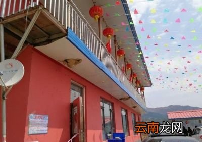 小燕子为什么又飞回来呢