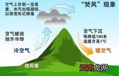 是什么原因造成了今年的异常高温天气呢