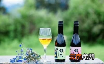 泡水果选用什么样的酒