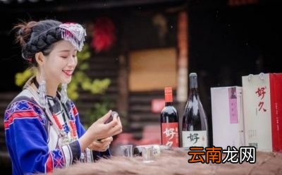 泡水果选用什么样的酒