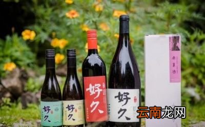 泡水果选用什么样的酒