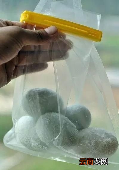 超简单腌制方法