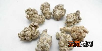 田七粉的功效概述