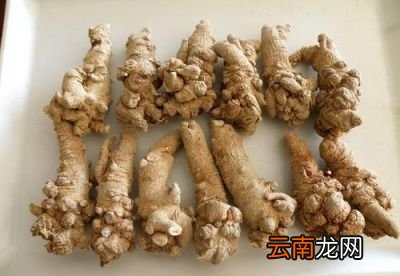 田七粉的功效概述