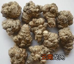 田七粉的功效概述