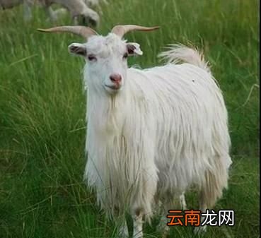 有哪些好吃到爆的面条做法