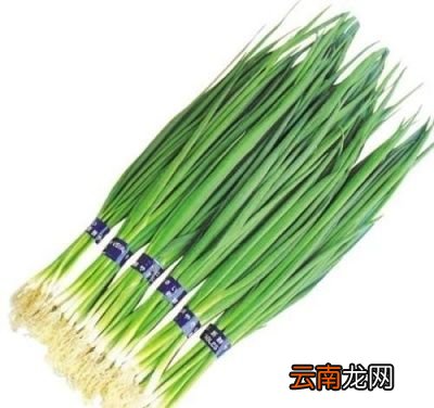 什么菜可以在种上之后一直吃