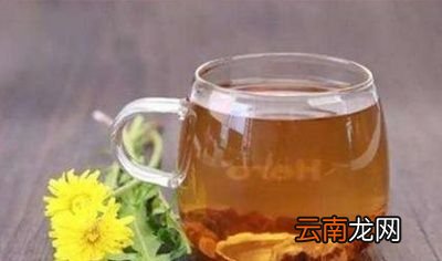 蒲公英到底有什么功效让人们这么追捧呢