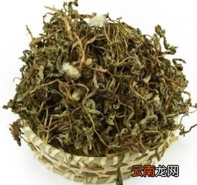 蒲公英有哪些功效呢