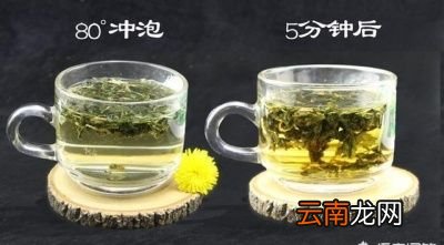蒲公英有什么用途