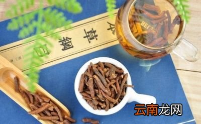 蒲公英根的功效