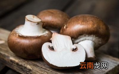 虾和什么包饺子最好吃