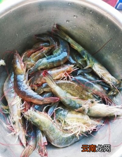 虾仁和什么包饺子最好吃