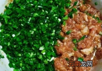 虾仁和什么包饺子最好吃