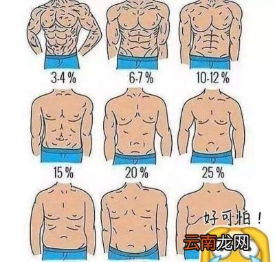 说完这些那到底该如何将体脂减下去呢