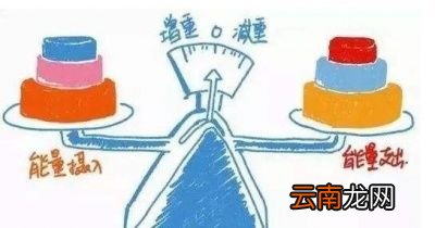 如何在三个月内减重二十斤