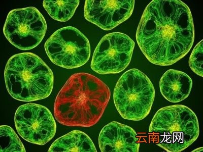 无论敷什么面膜尽量敷面膜之后用清水洗掉