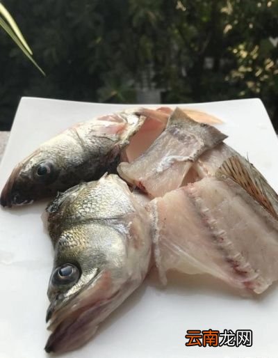海鲈鱼怎么做才好吃