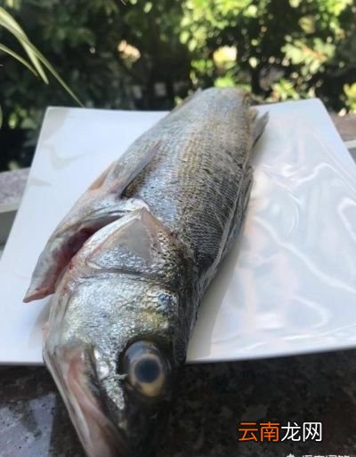 海鲈鱼怎么做才好吃