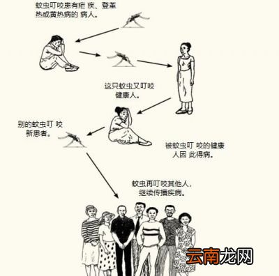 为什么要注射毒液呢