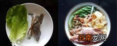 除此之外总是几根青菜配一碗螺蛳粉