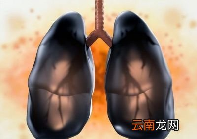 一天一两根烟和一根不抽有很大区别