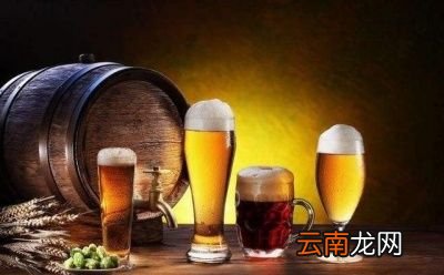 健身者选择啤酒还是白酒