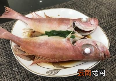 鱼怎样做好吃呢