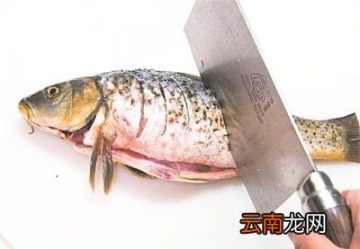做鱼的烹饪要领