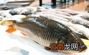 做鱼的烹饪要领