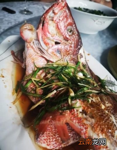 冰鲜鱼和冰冻鱼的做法