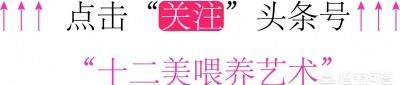 一岁宝宝吃虾的做法是什么